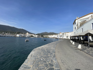 IMG_6437.JPG
