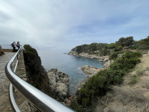 IMG_6474.JPG