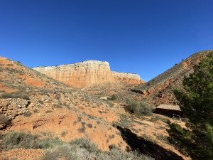 IMG_6663.JPG