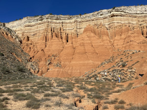 IMG_6670.JPG