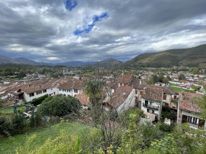 IMG_6850.JPG