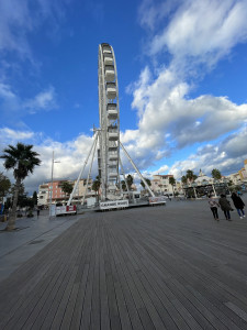 IMG_6959.JPG