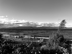 IMG_8106.JPG