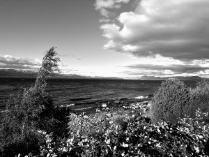 IMG_8107.JPG