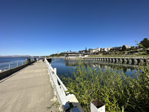 IMG_8209.JPG