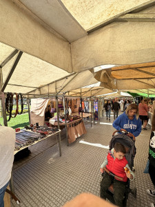 IMG_8269.JPG