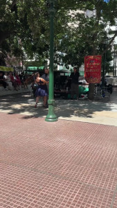 IMG_8374.MOV