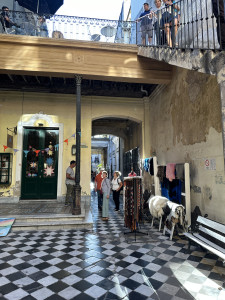 IMG_8409.JPG
