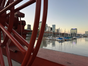 IMG_8430.JPG