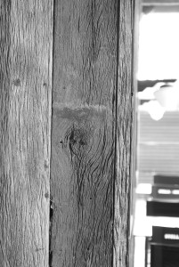 L1031001.JPG