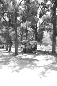 L1031077.JPG