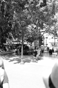 L1031127.JPG