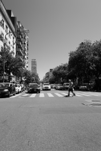 L1031128.JPG
