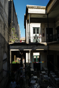L1031162.JPG