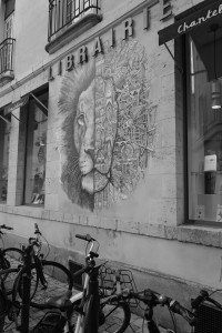 L1000244.JPG
