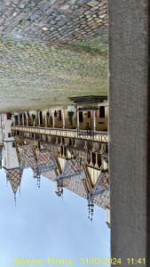 IMG_3534.JPG