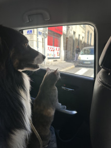 IMG_3756.JPG