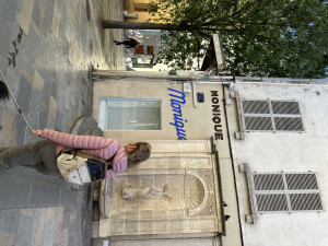 IMG_3779.JPG
