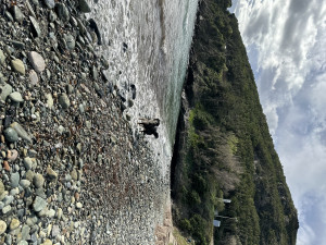 IMG_3841.JPG