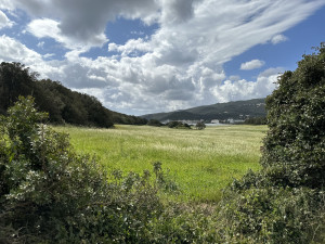 IMG_3866.JPG