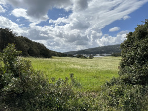 IMG_3867.JPG