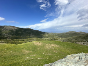 IMG_3871.JPG
