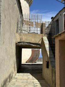 IMG_3890.JPG