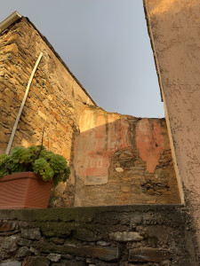 IMG_3926.JPG