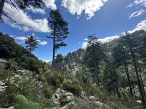 IMG_3970.JPG