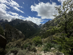 IMG_3979.JPG