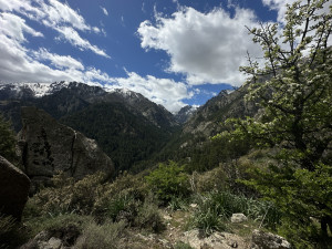 IMG_3980.JPG