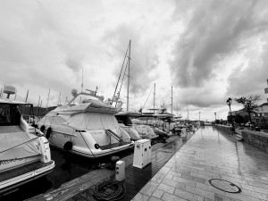 IMG_4111.JPG