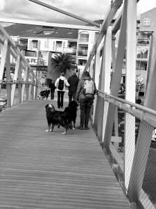 IMG_4165.JPG