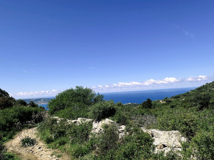 IMG_4254.JPG