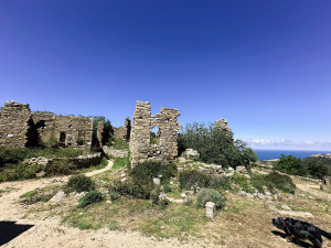 IMG_4267.JPG