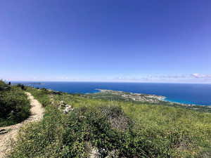IMG_4272.JPG
