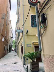 IMG_4373.JPG