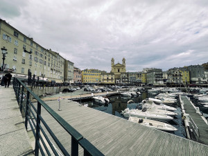 IMG_4406.JPG