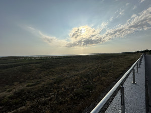 IMG_5786.JPG