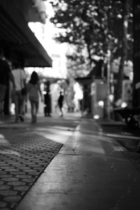 241225194814-DSC01330.JPG