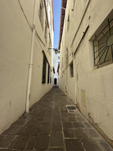 IMG_7868.JPG