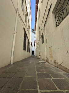 IMG_7870.JPG