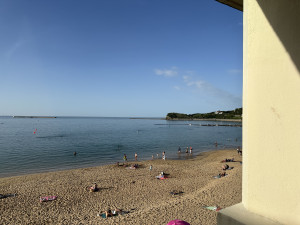 IMG_7879.JPG