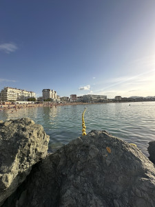 IMG_7883.JPG