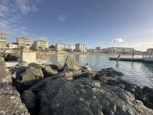 IMG_7884.JPG