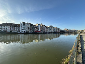 IMG_7896.JPG