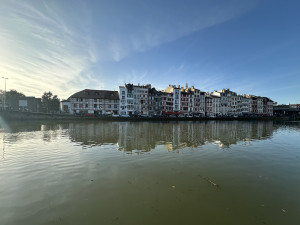 IMG_7897.JPG