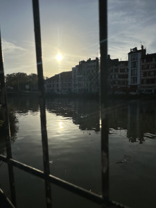 IMG_7900.JPG