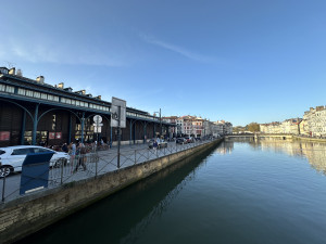 IMG_7903.JPG