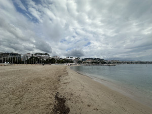IMG_0073.JPG